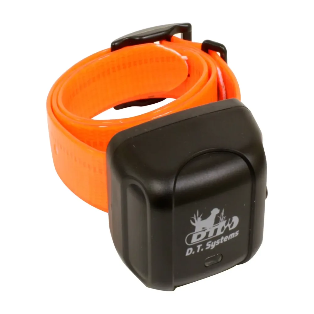 Collars & Travel orange