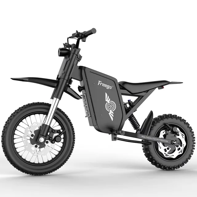 Dirt Bike 8000w 72v 19"