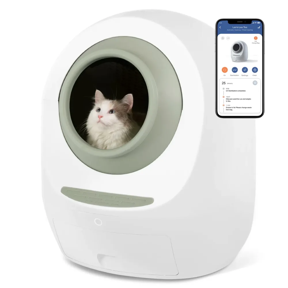 Cat Litter green