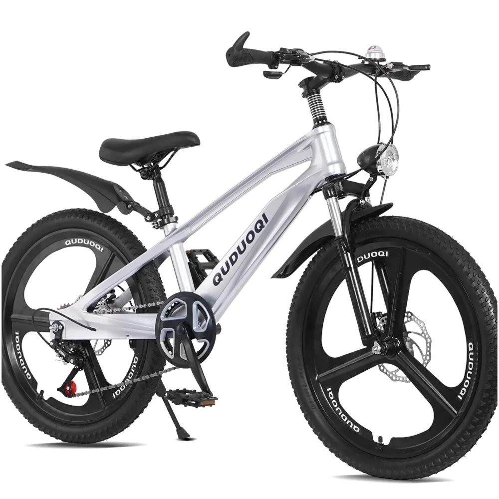 Mountain Bike silver 20 in