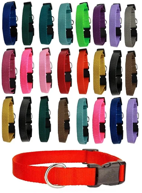 Dog Collar 10 inch adjustable