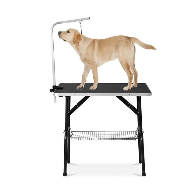 Dog Grooming 46' 24' 300lbs