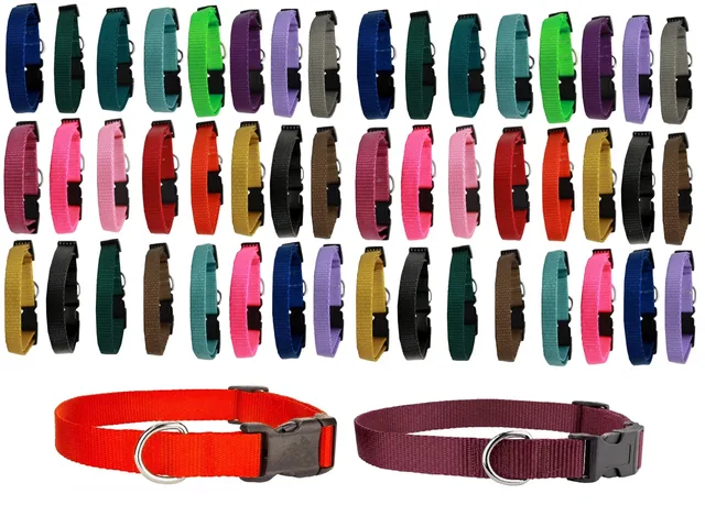 Dog Collar 20 inch adjustable