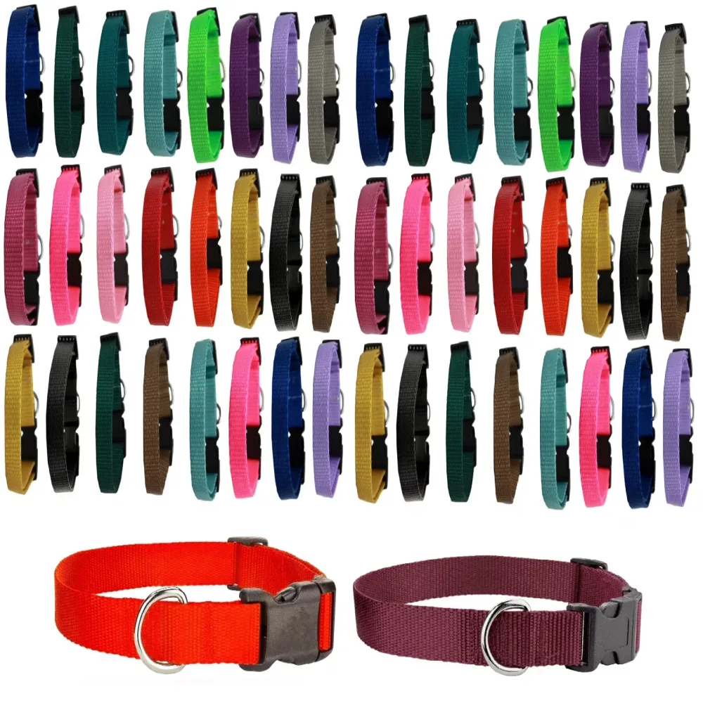 Dog Collar 20 inch adjustable