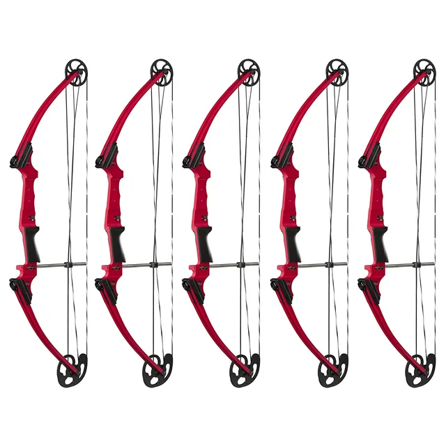 Compound Bow 5 pack adjustable 30"