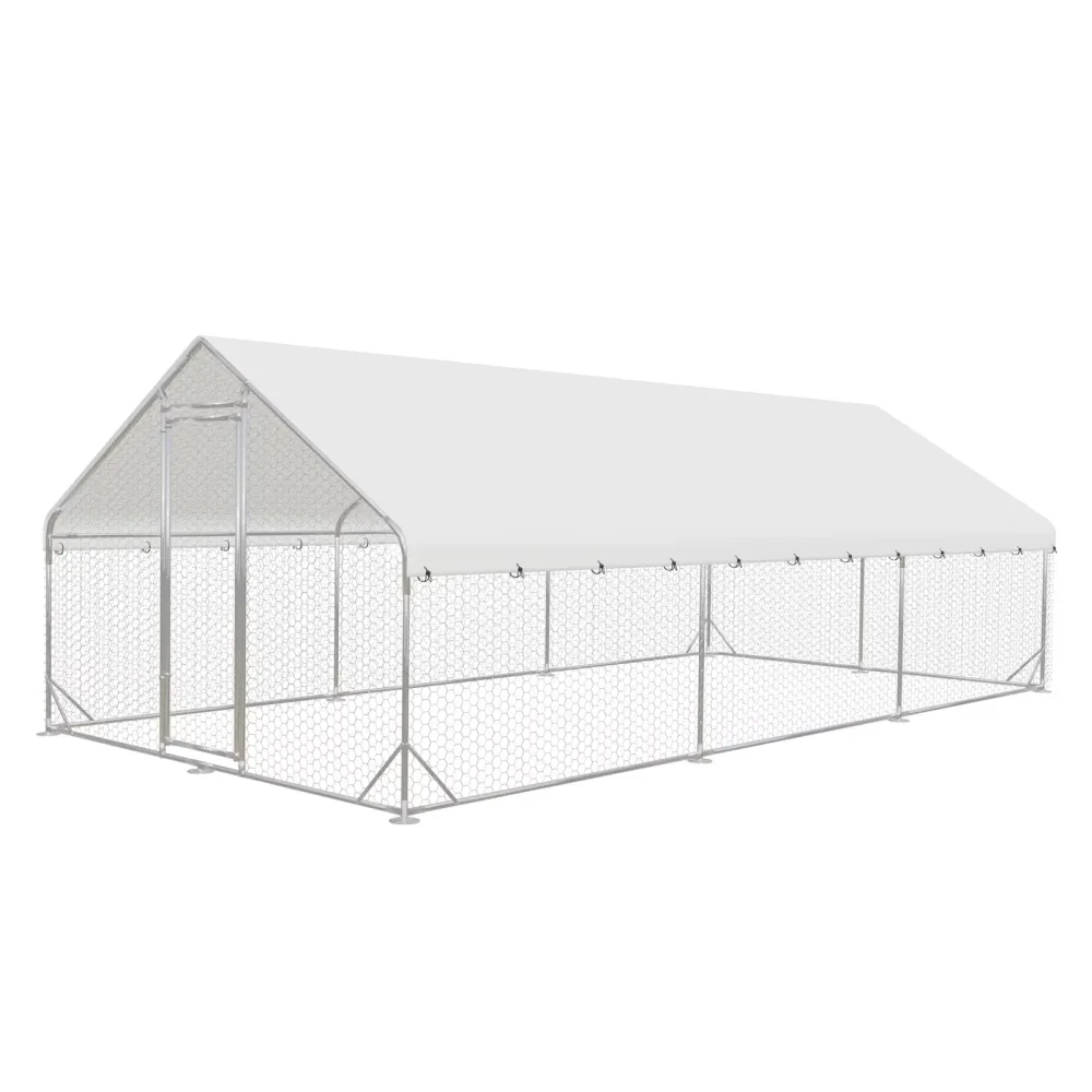Chicken Coop 19.6' 8' 4'