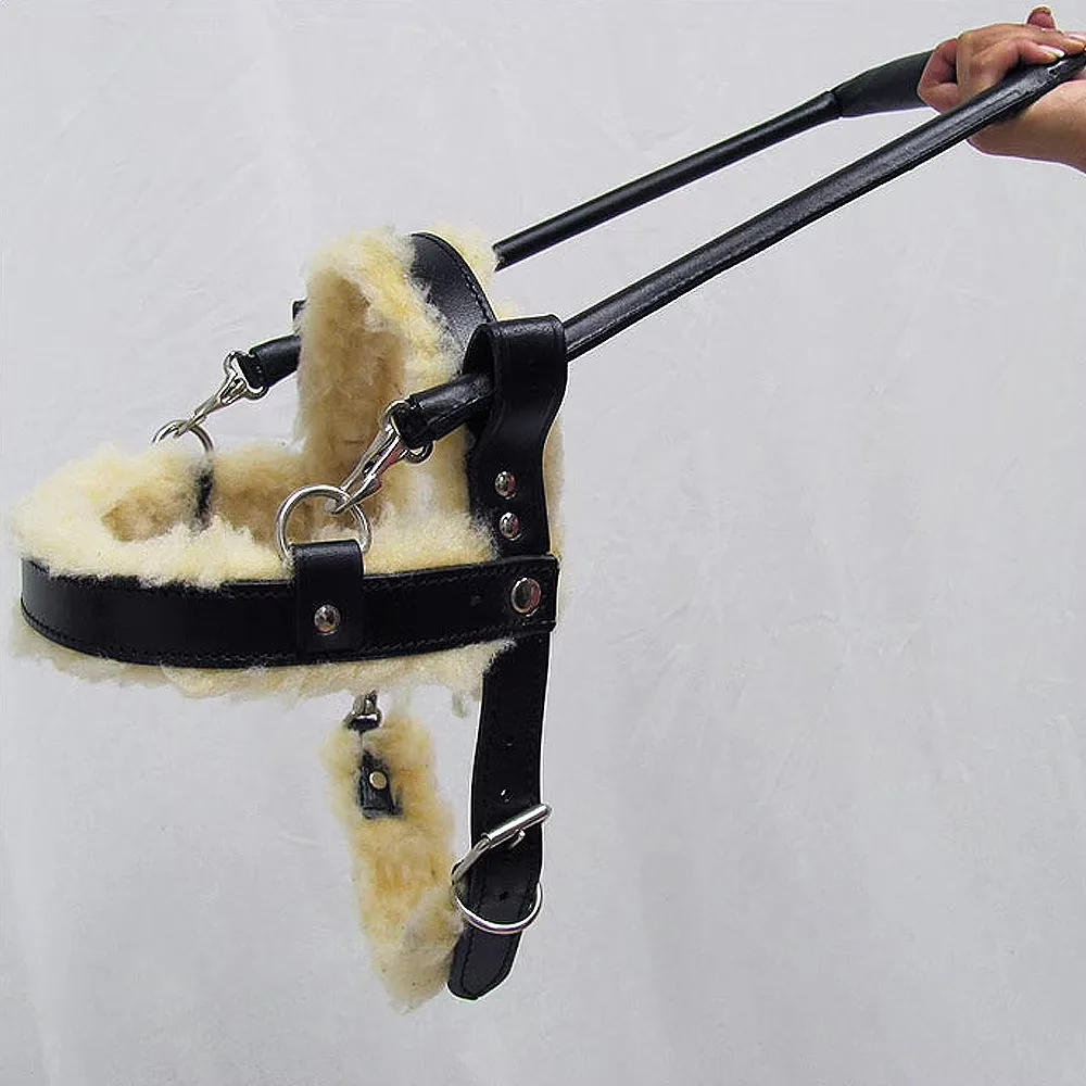 Collars & Travel black adjustable