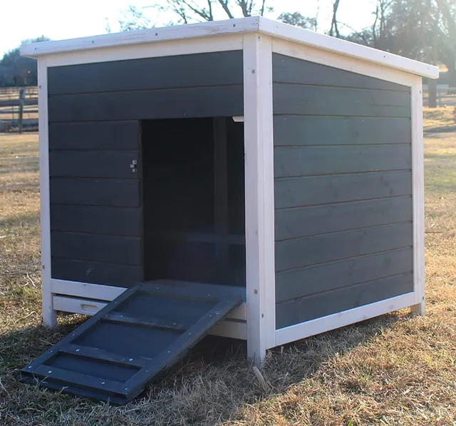 Chicken Coop blue white