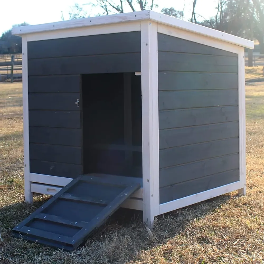 Chicken Coop blue white