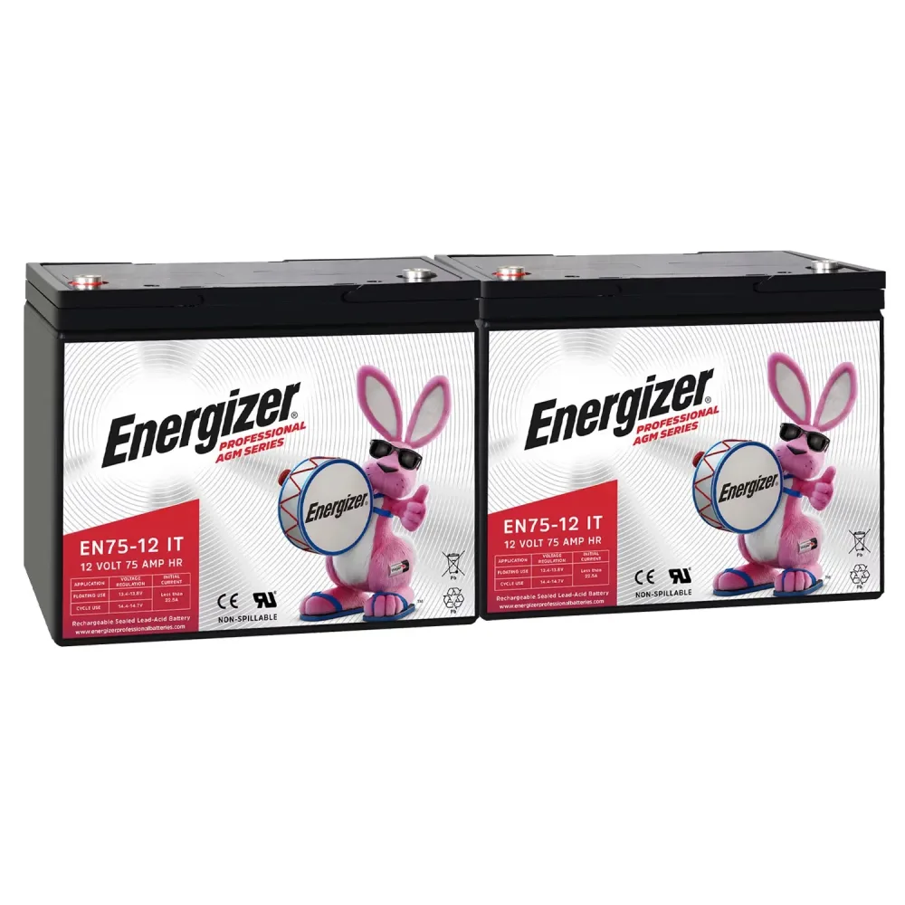 Rechargeable Battery 2 pack 12 volt