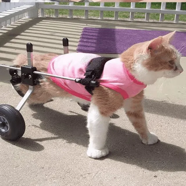 Vehicle 0.67kg 0.85kg 1kg