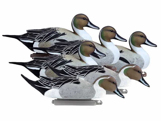 Hunting Gear 6 pack 20.25 inch 21.25 inch