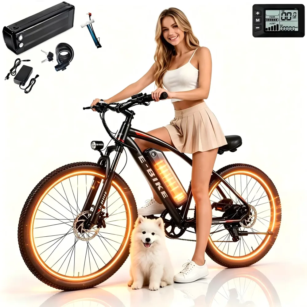 Electric Bike 750w 20" 1"