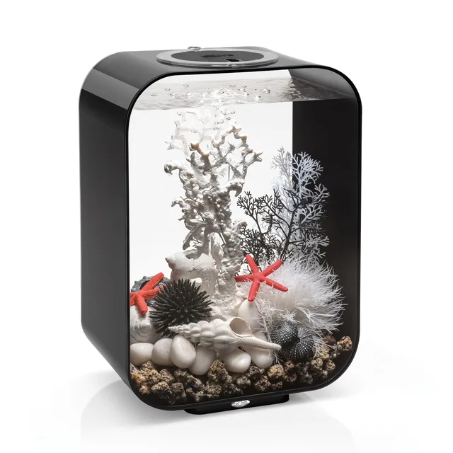 Standard Light 4 gallon black 15.5 in