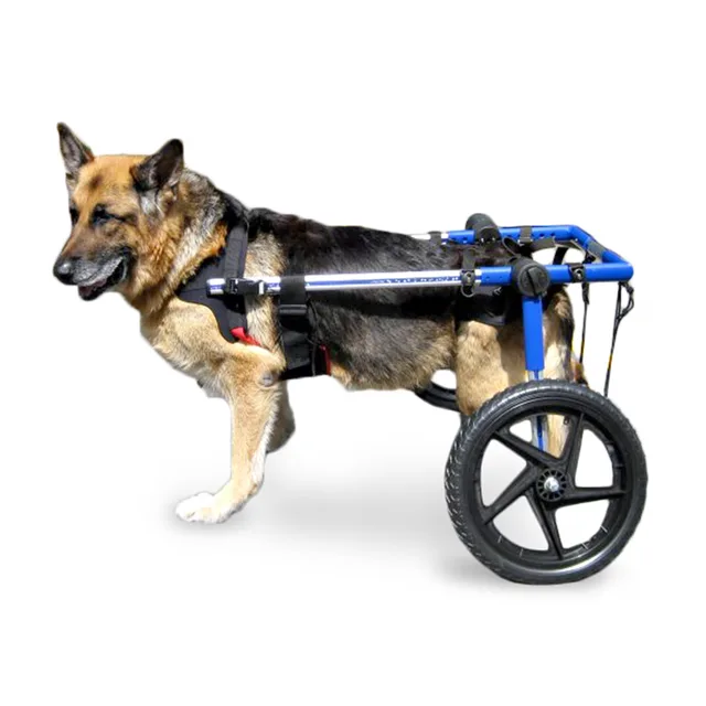 Wheel blue 16 inch 180 pounds