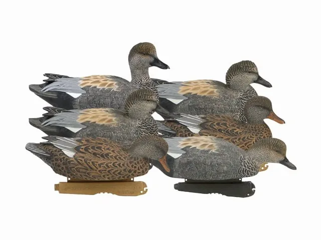 Hunting Gear 6 pack