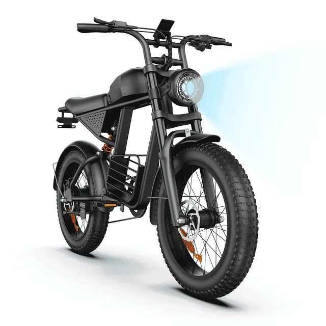Fat Tire 20" 750w 1000w