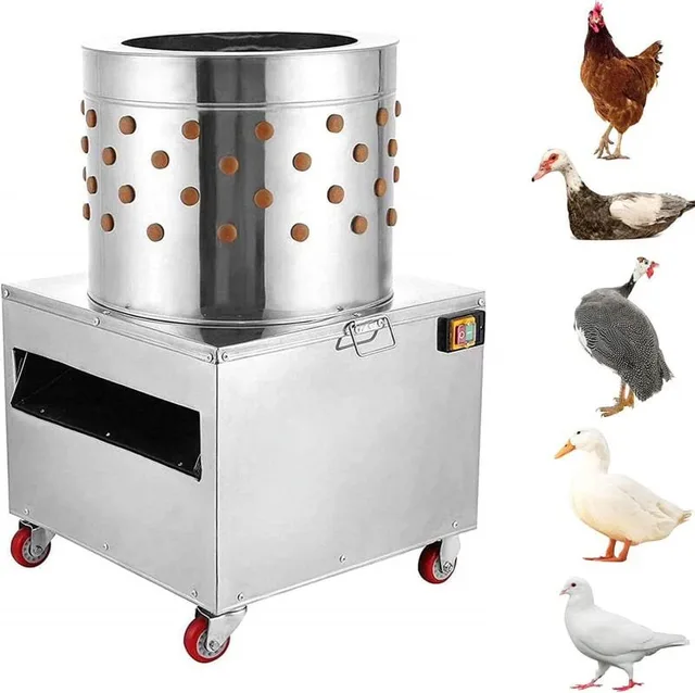 Machine 20 inch 2hp 110v
