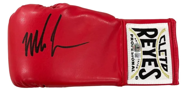 Boxing Glove