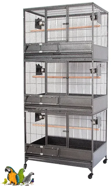 Breeder Bird 79" 2" grey
