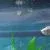 Fish Tank 3 gallon black 4.5"