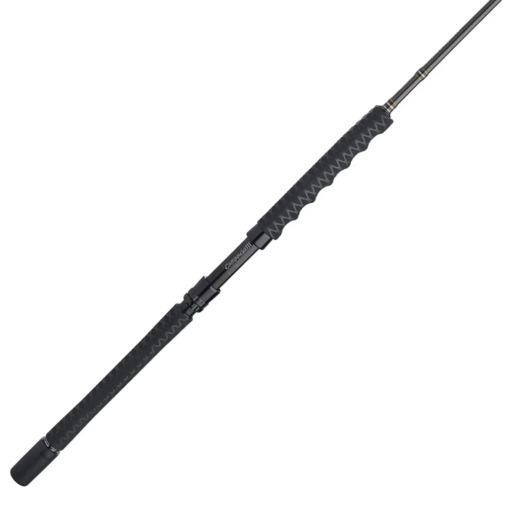 Jigging Rod 6' 4" 130 pounds