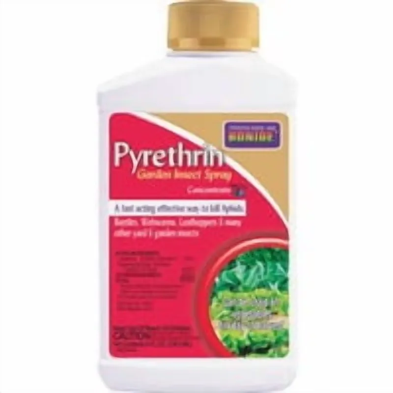 Insect Killer 8 oz