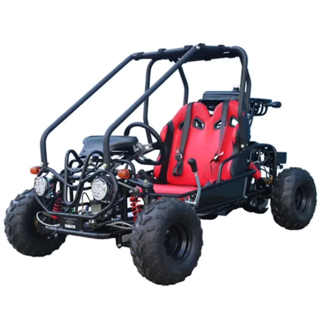Motor black 1 gallon 12v