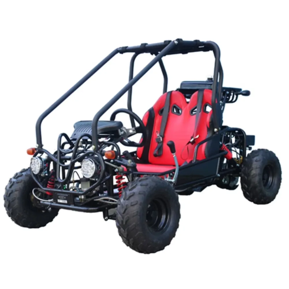 Motor black 1 gallon 12v