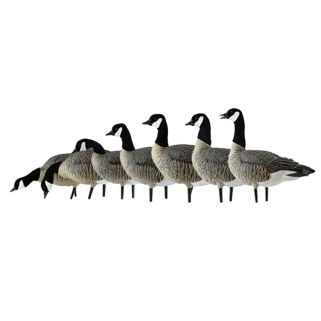 Rangefinders 12 pack 23 inches 35 pounds