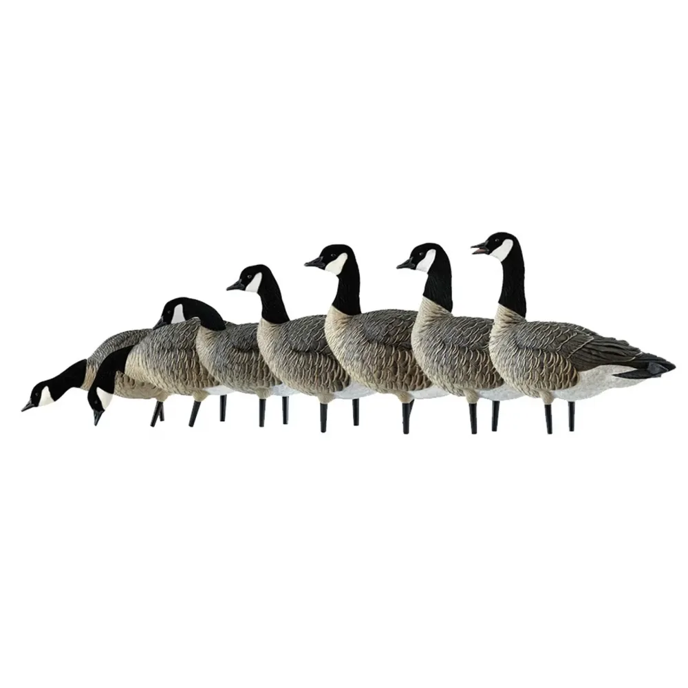 Rangefinders 12 pack 23 inches 35 pounds