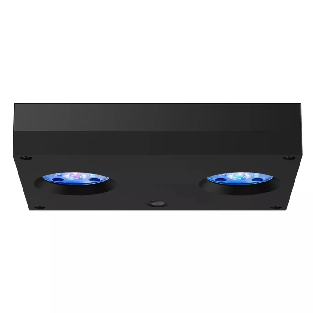 Reef Light led black 5 lbs