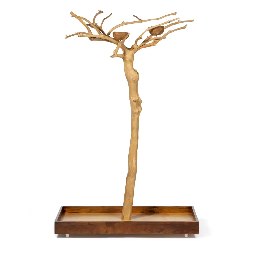 Bird 8" 4" 59"