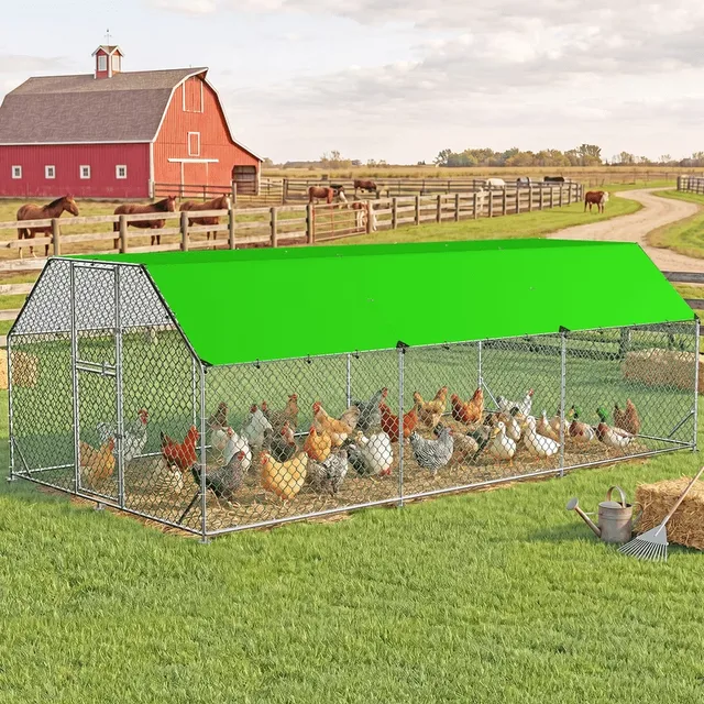 Chicken Coop 5ft 212.6" 110.23"