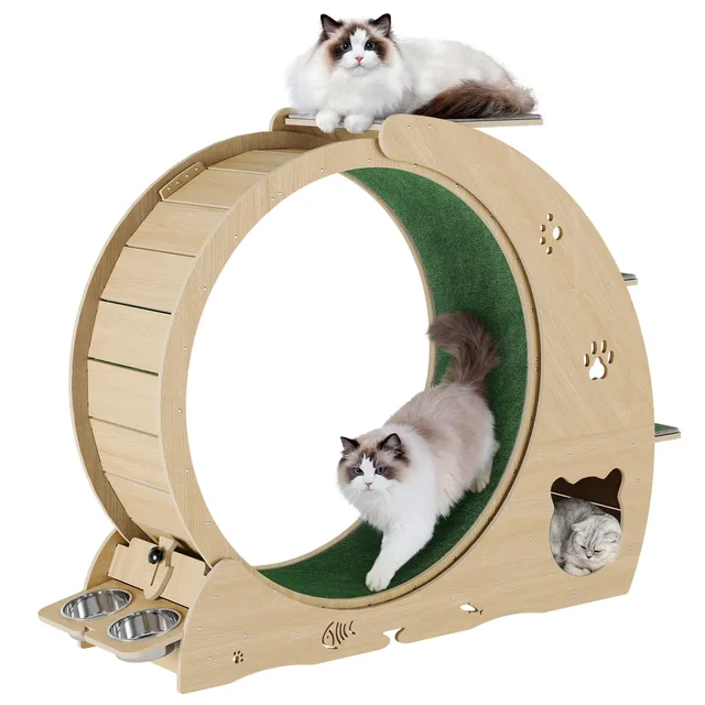 Cat Treadmill locking