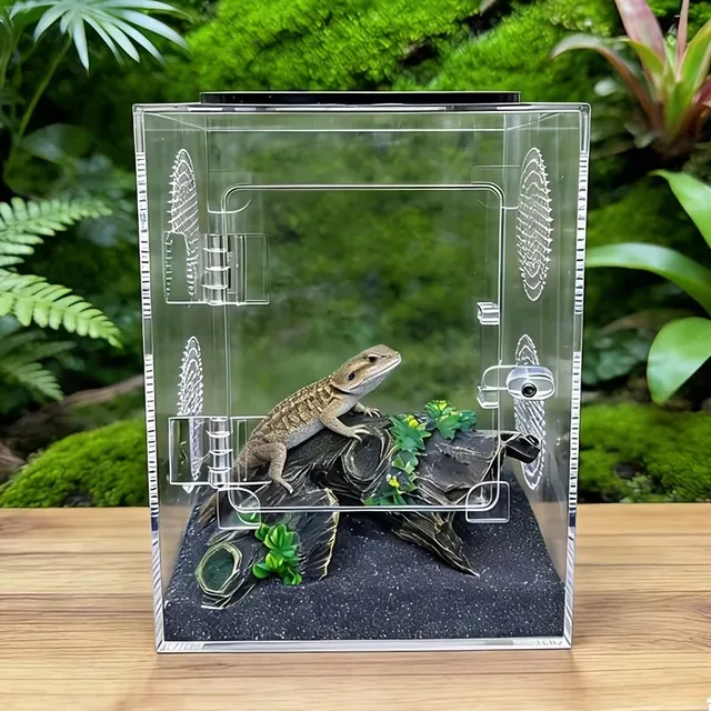 Reptile Terrarium