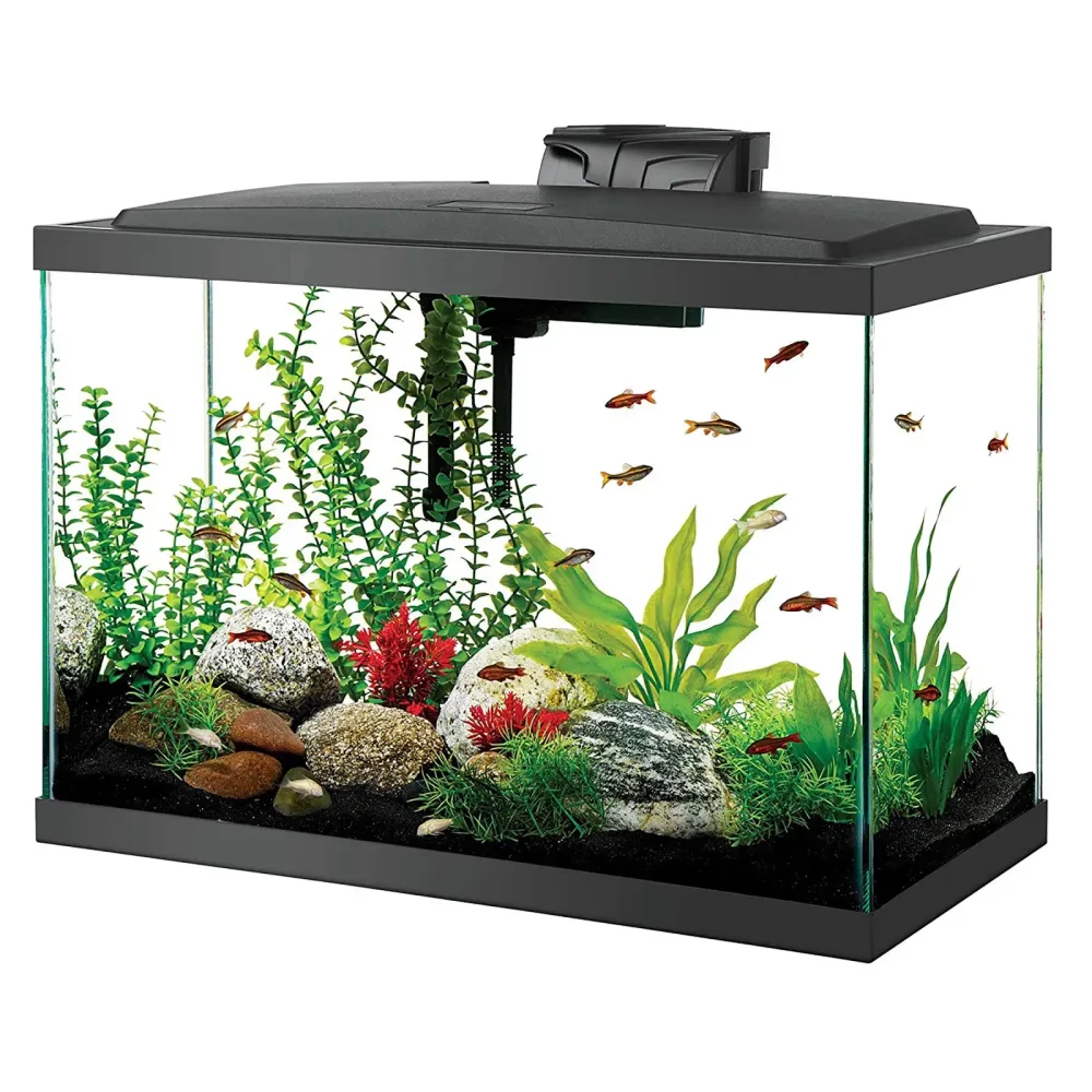 Fish Tank led 100w white