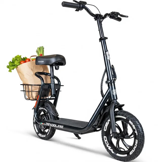 Electric Scooter 12" 450w 48v