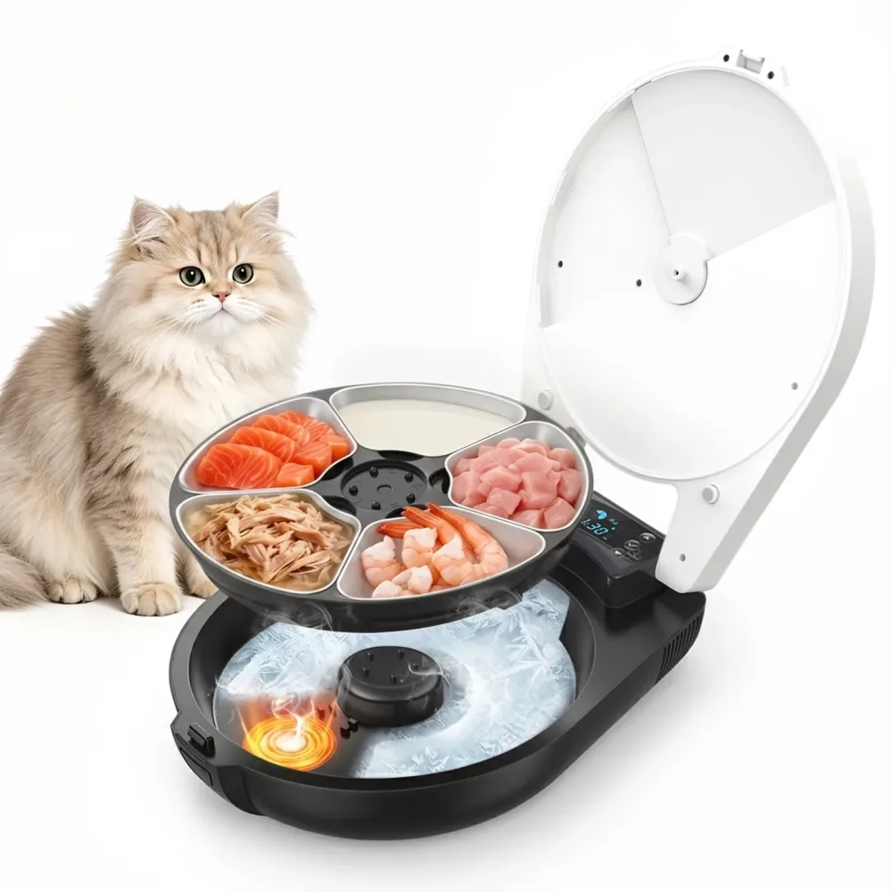 Wet Food 12 v
