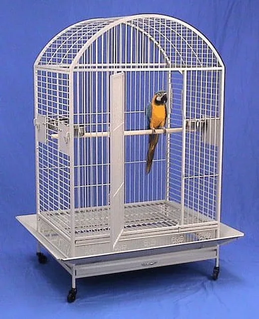 Parrot Bird 40" 30" 66.5"