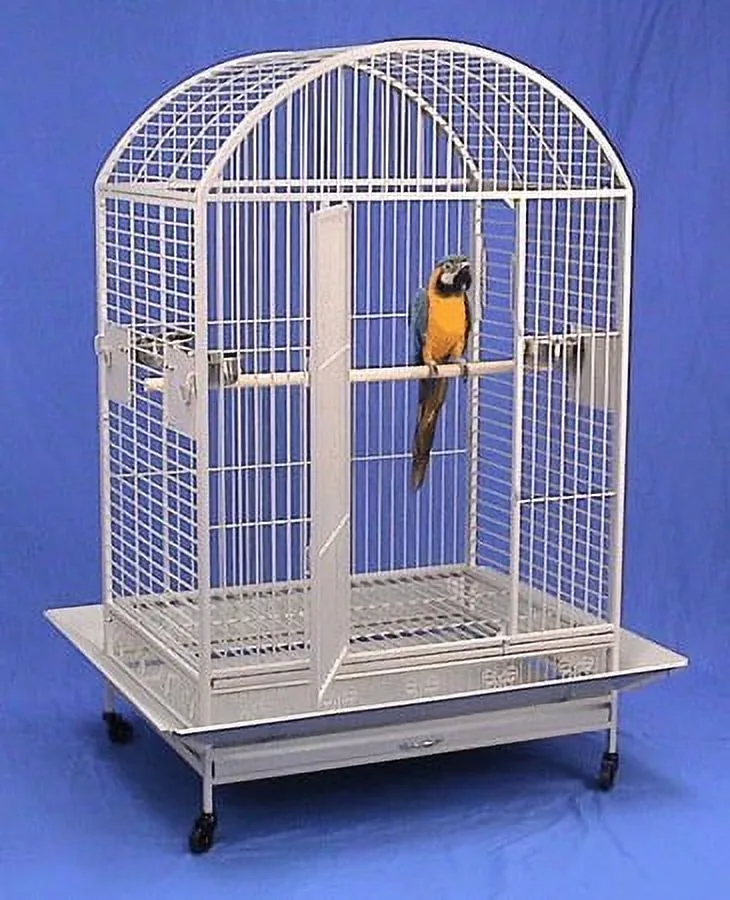 Parrot Bird 40" 30" 66.5"