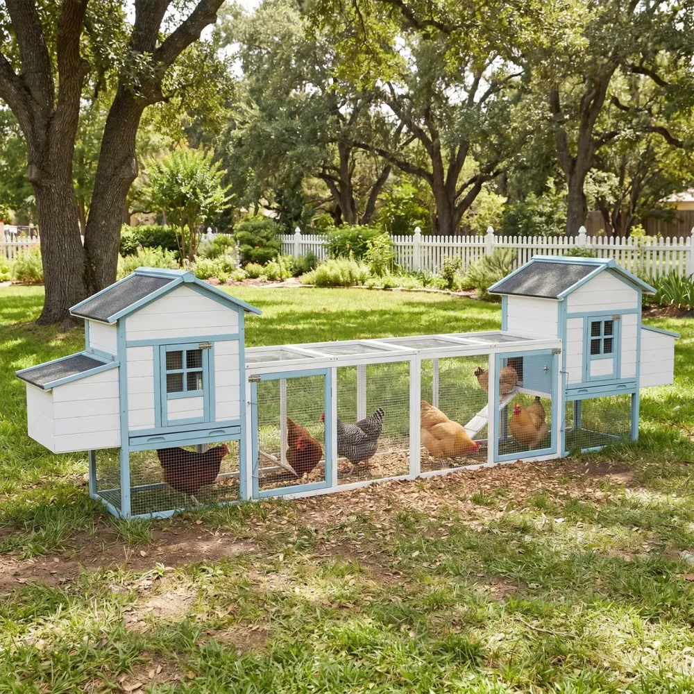 Chicken Coop blue white 26.15"