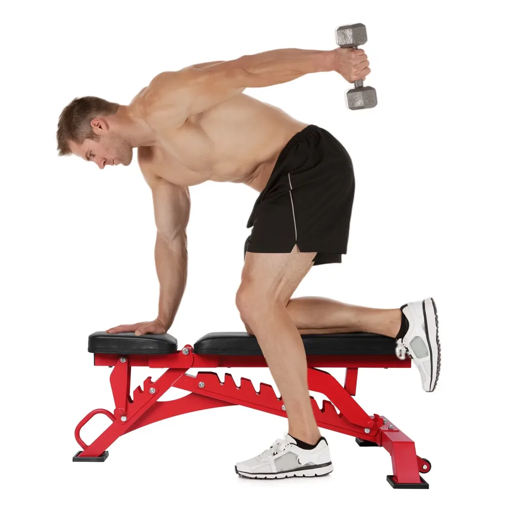 Fitness Equipment 1300lbs adjustable 740.00 mm