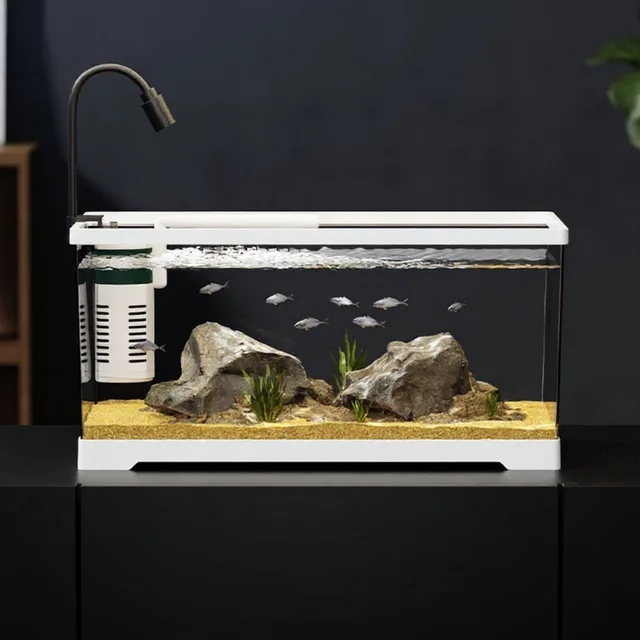 Fish Tank
