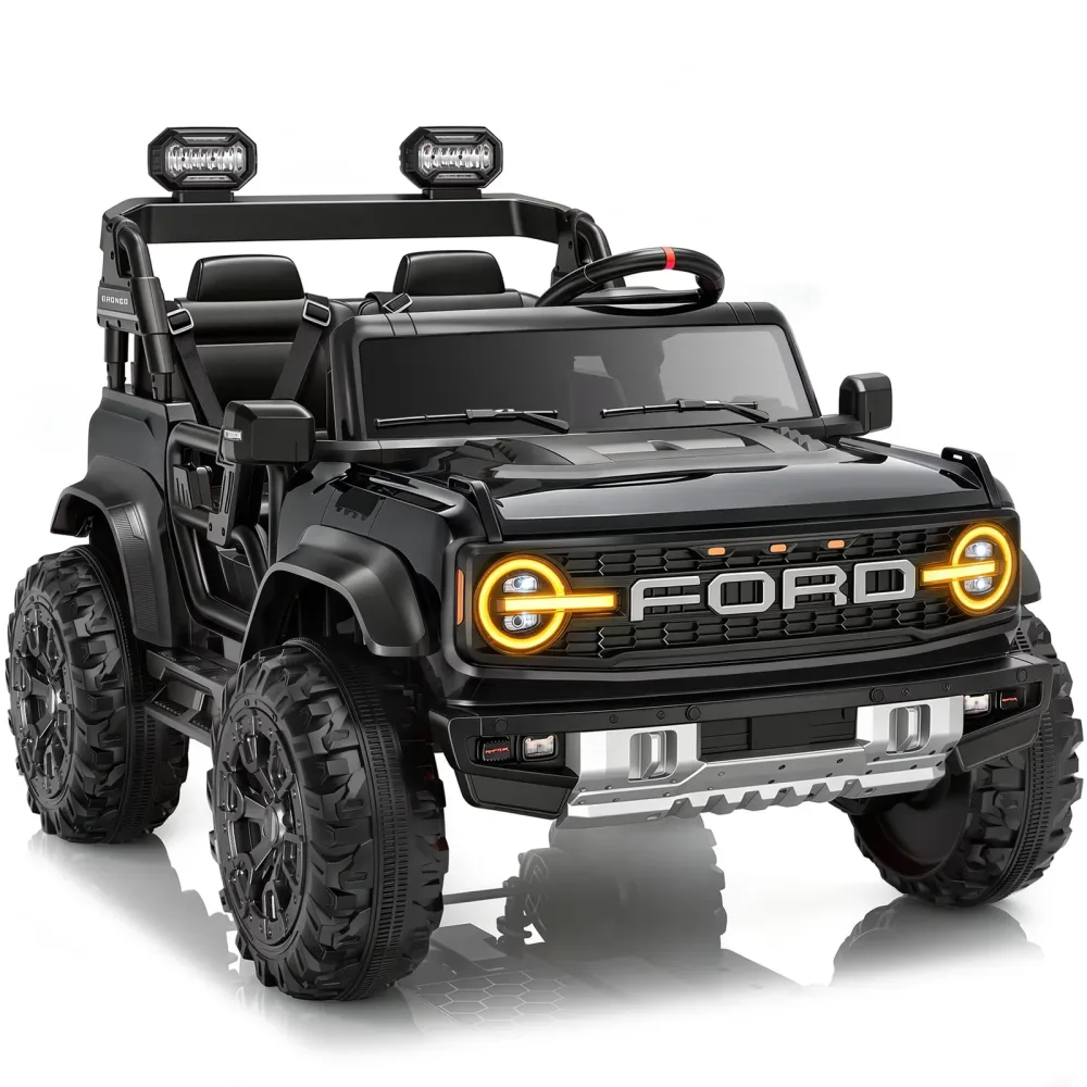 Remote Control 24v black 24 volt