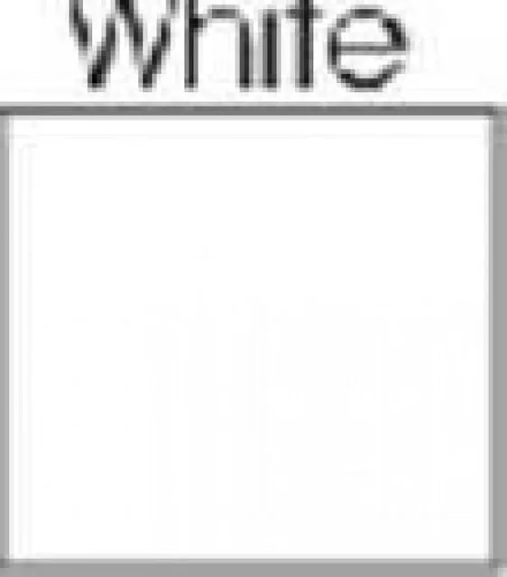 Paper 80lb white