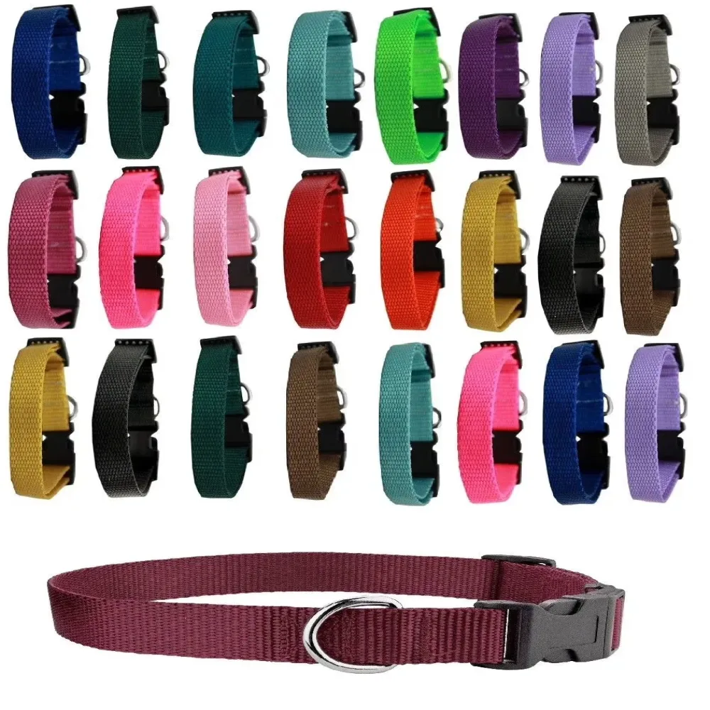 Dog Collar 20 inch adjustable