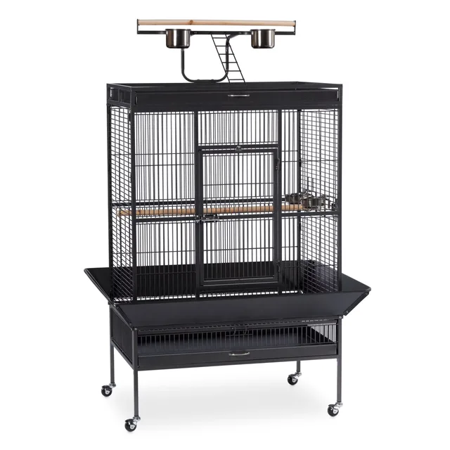 Iron Bird black 36" 2"