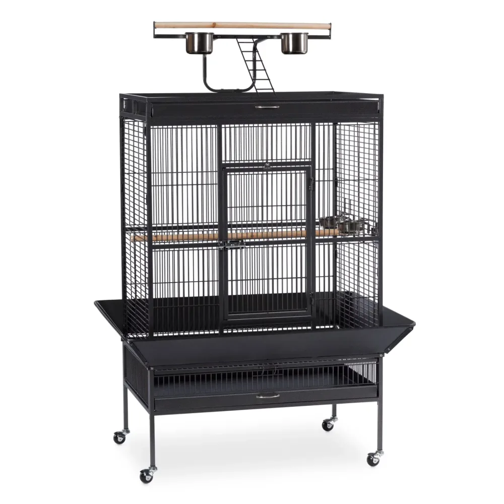 Iron Bird black 36" 2"