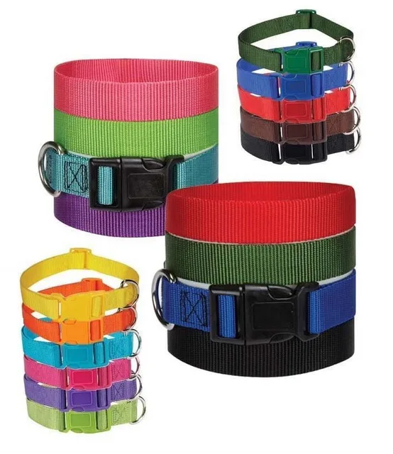 Dog Collar 10 inch